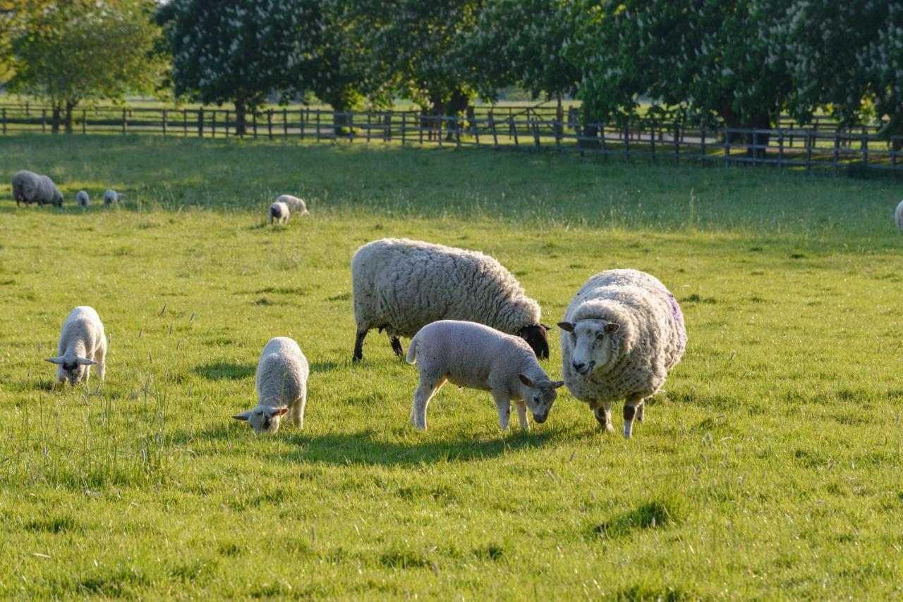 Cambridge Country Cottages ภายนอก รูปภาพ